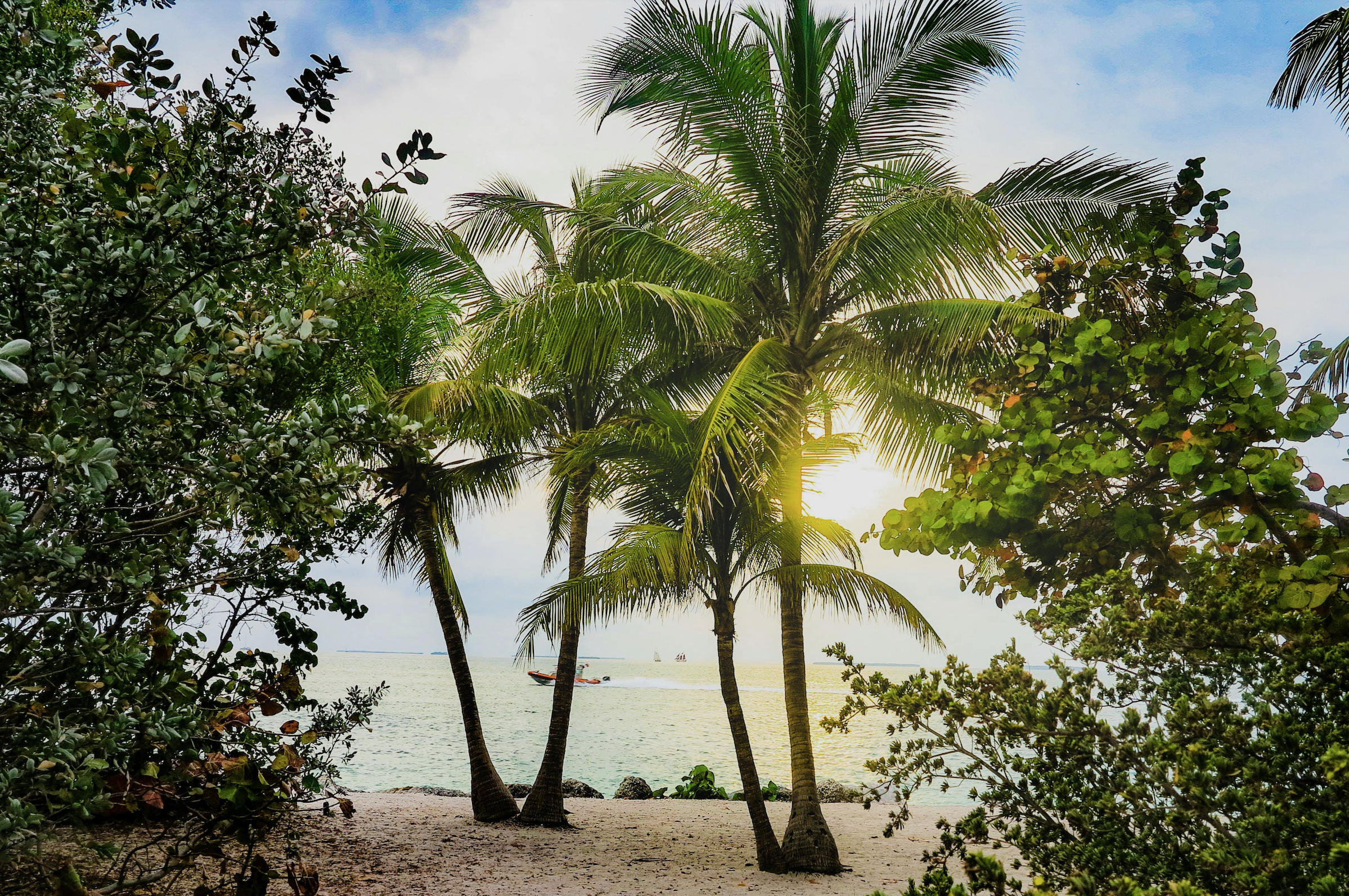 Best Tropical Beaches in the United States